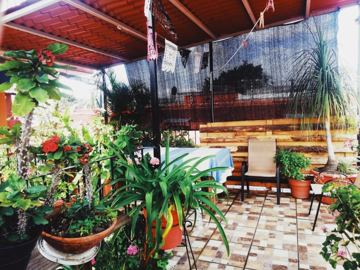 El Rincon De Dona Bety Hotel Oaxaca Екстериор снимка